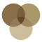 venn diagram