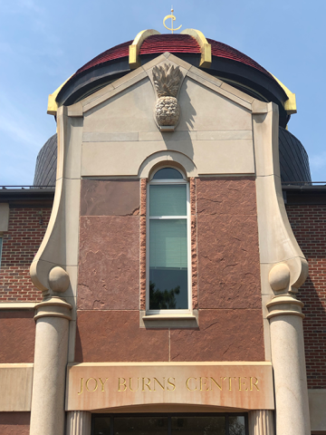 hospitality-pineapple