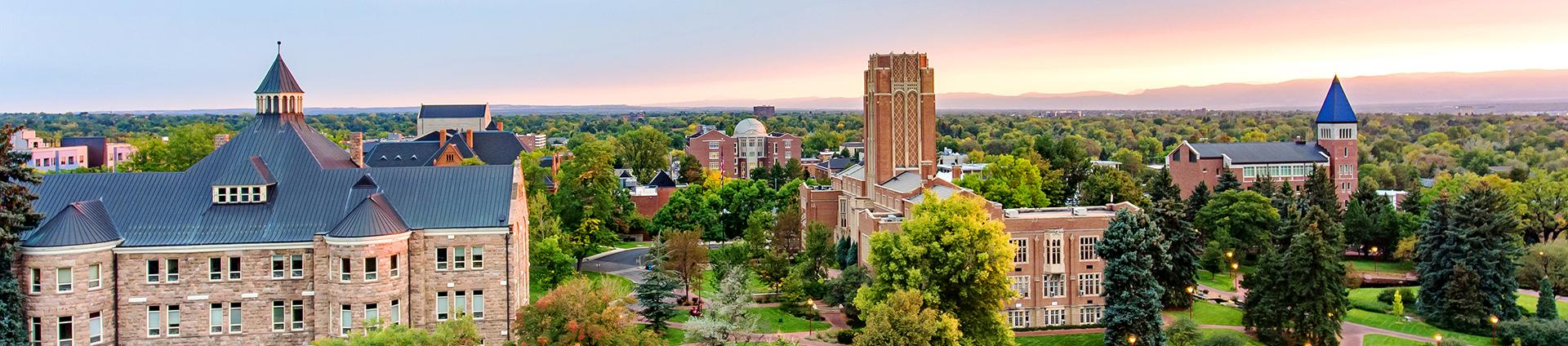 du campus sunset