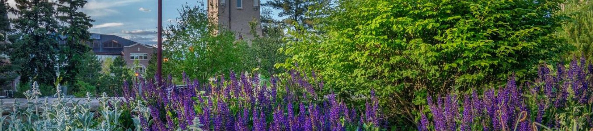 spring campus header image
