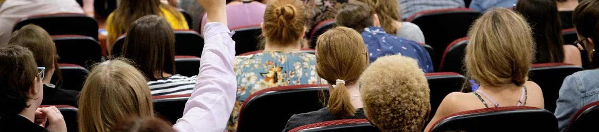 student raising their hand during a lecture