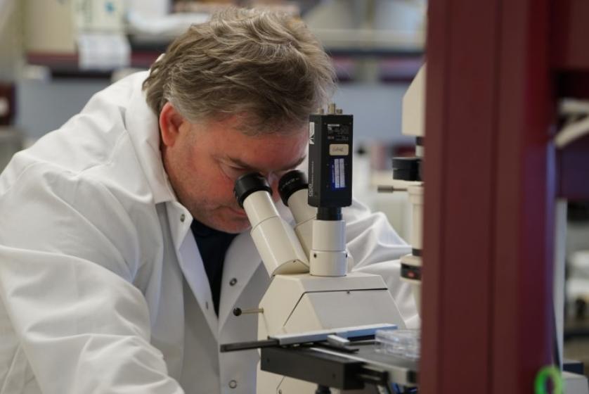 Dan Linseman works with undergraduate students in his lab.