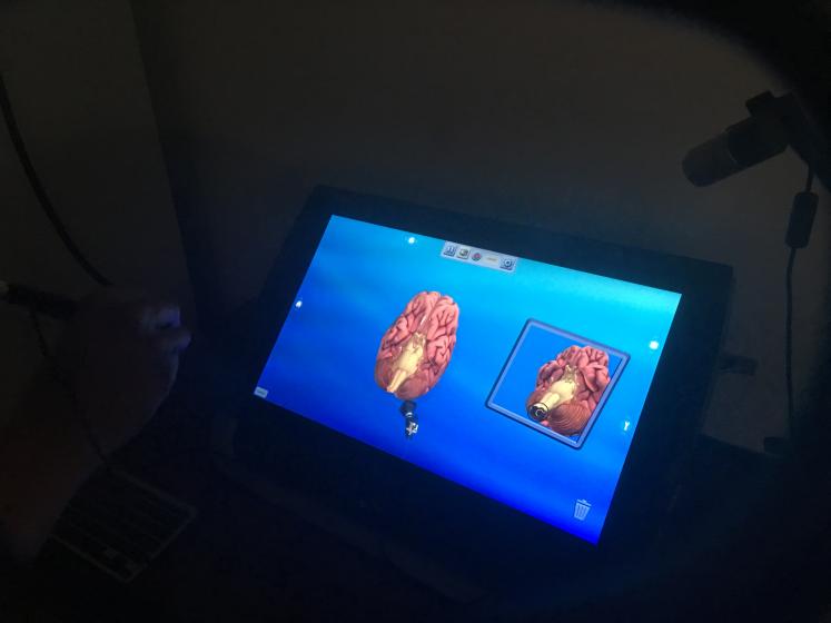 Anatomy students use 3-D technology to interact with the human body