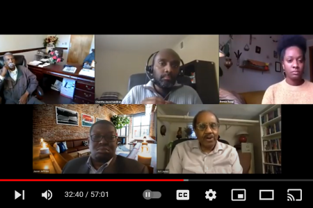 Webinar screen capture of panelists